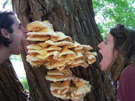 Une b�tise de plus avec mon brosseur de dents pr�f�r�!!!