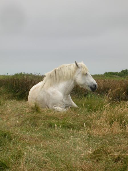Une amie qui m'a suivie (et r�ciproquement) pendant trois mois!