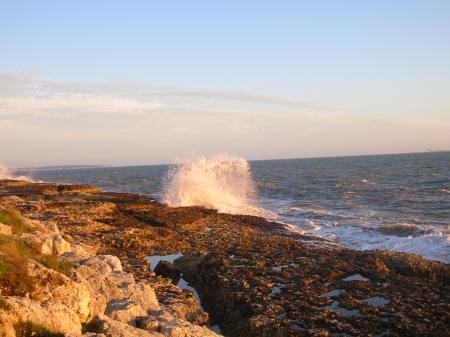 Ptite photo pour ceux � qui la mer manque...