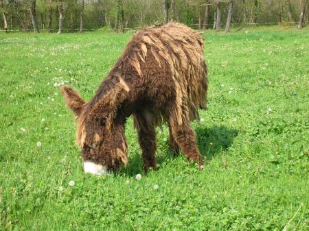 Nouveau taf! mon entretien de l'an dernier a servi � quelque chose!!!