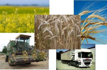 Moissons: finies... pour le moment!