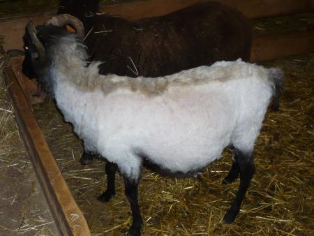 J'y peux rien, c'est mon c�t� punk!