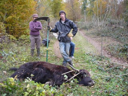 Nancy, c'est fini... enfin bient�t!